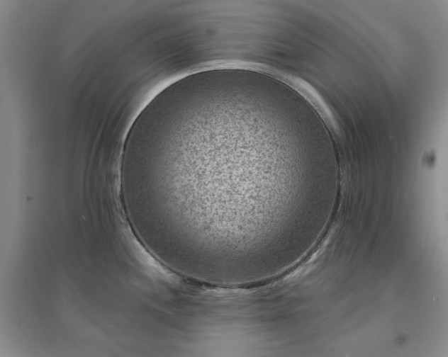 X0000094441244200711151357