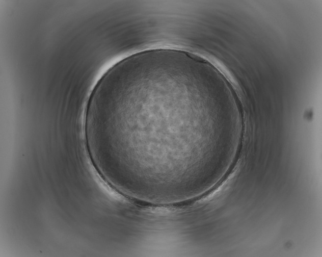 X0000094441246200711151357
