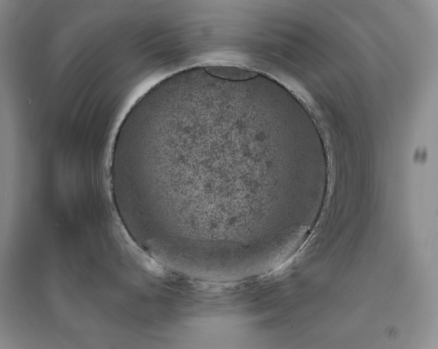 X0000094441248200711151357