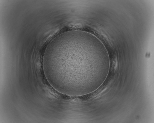 X0000094441250200711151356