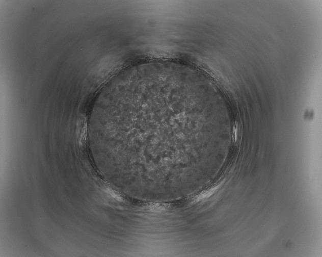 X0000094441251200711151356