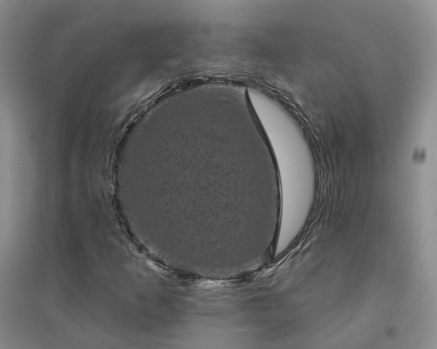 X0000094441253200711151356