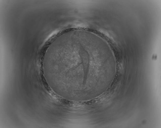 X0000094441254200711151356