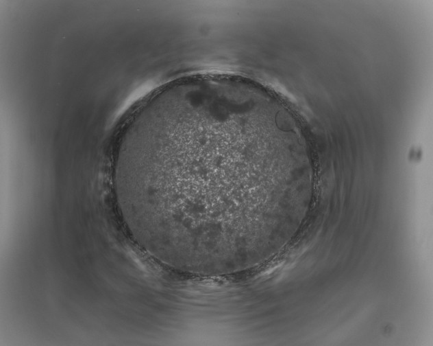 X0000094441255200711151356