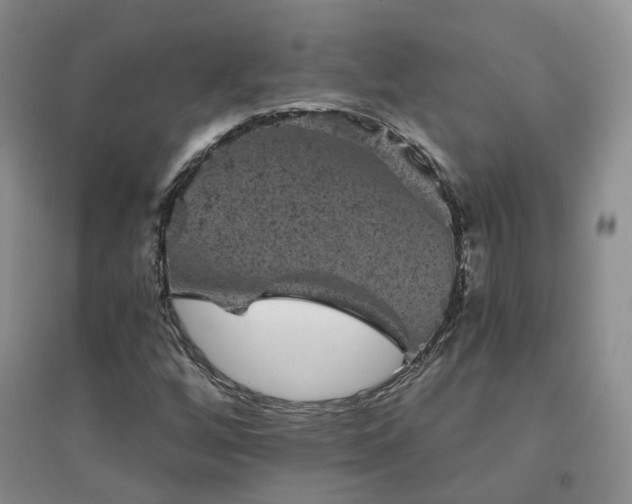 X0000094441256200711151356