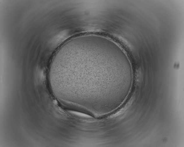 X0000094441257200711151356