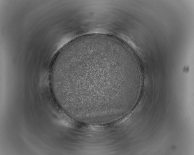X0000094441258200711151356