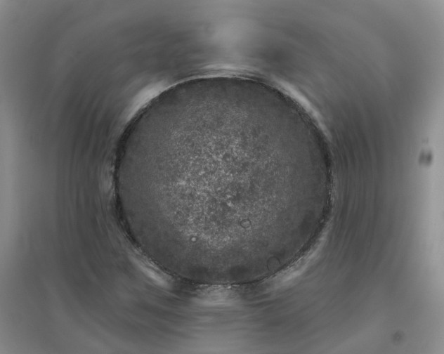 X0000094441259200711151356