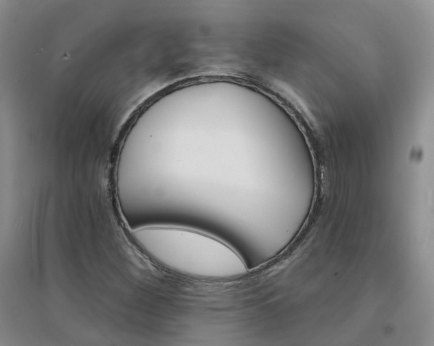 X0000094441260200711151356
