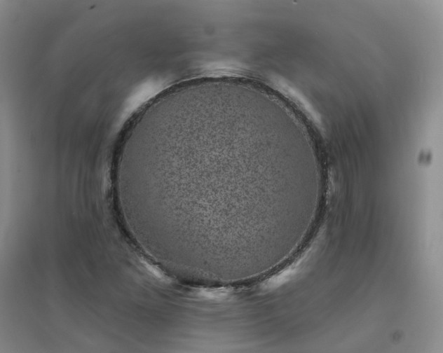 X0000094441261200711151356