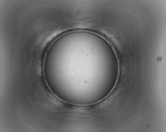 X0000094441262200711151356