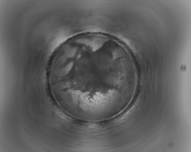 X0000094441263200711151356
