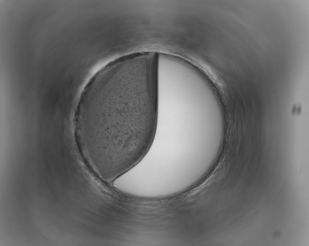 X0000094441264200711151356