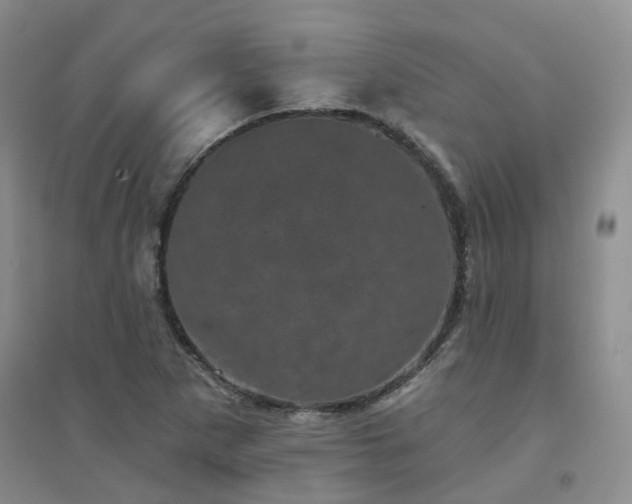 X0000094441265200711151356