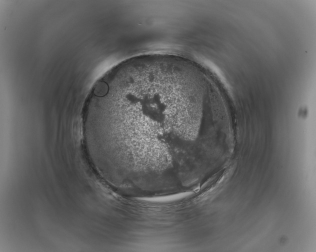 X0000094441267200711151356
