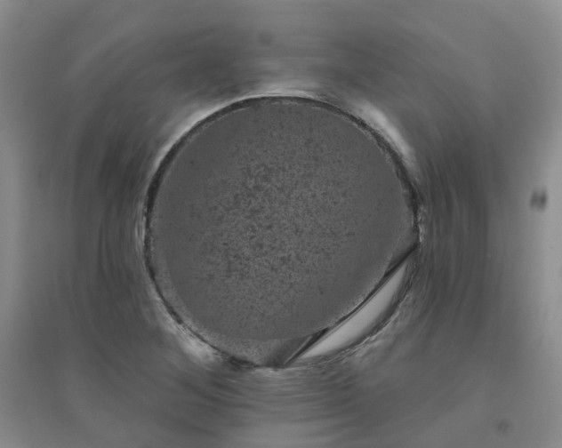 X0000094441268200711151356