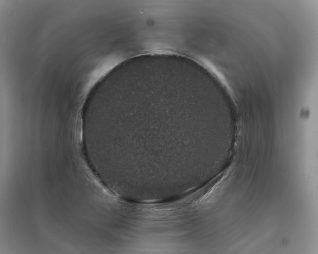X0000094441269200711151356
