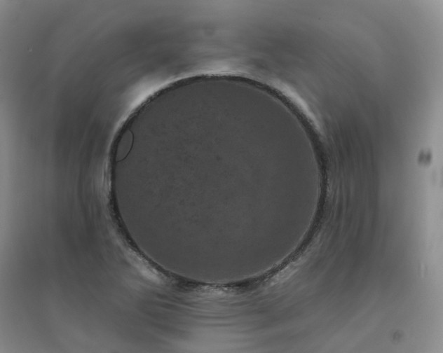 X0000094441270200711151356
