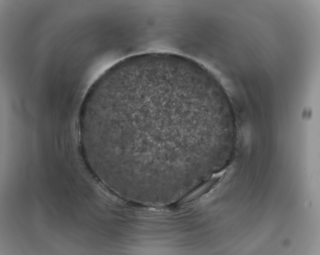 X0000094441271200711151356