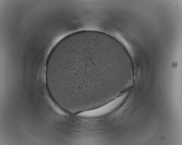 X0000094441272200711151356