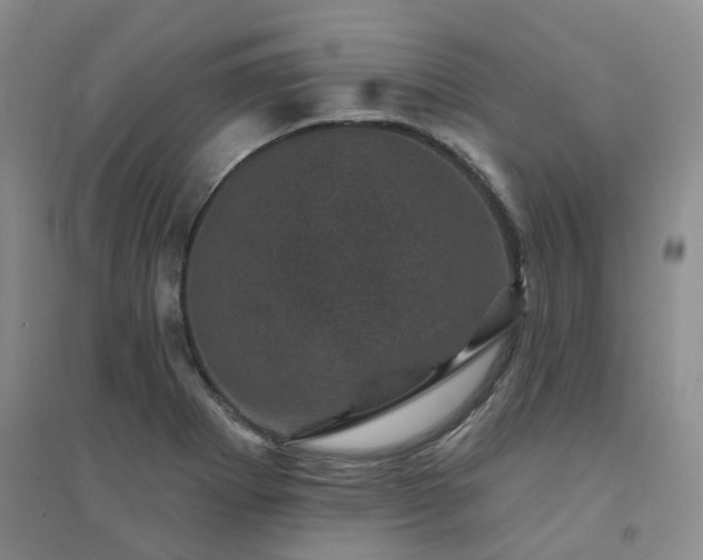 X0000094441273200711151356