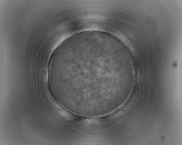 X0000094441274200711151356