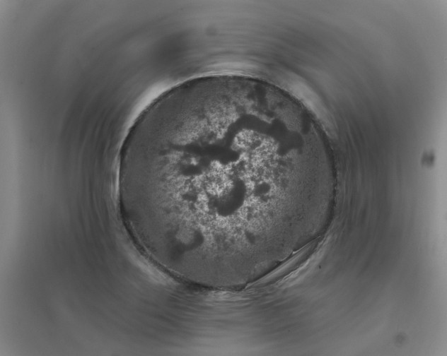 X0000094441275200711151356