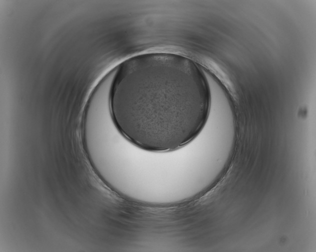 X0000094441276200711151356