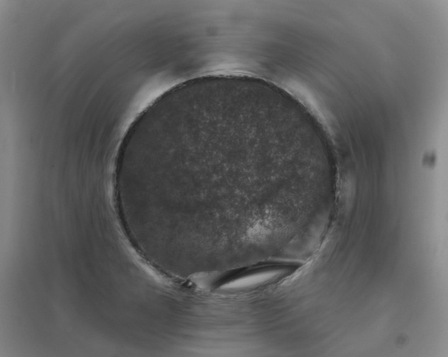 X0000094441277200711151356