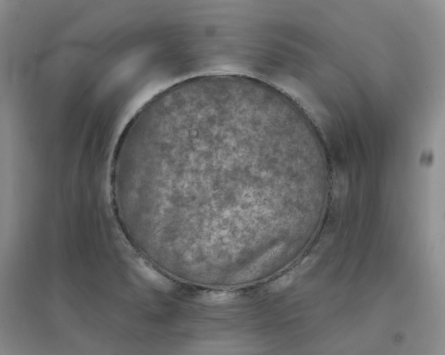 X0000094441278200711151356