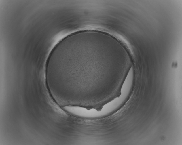 X0000094441280200711151356