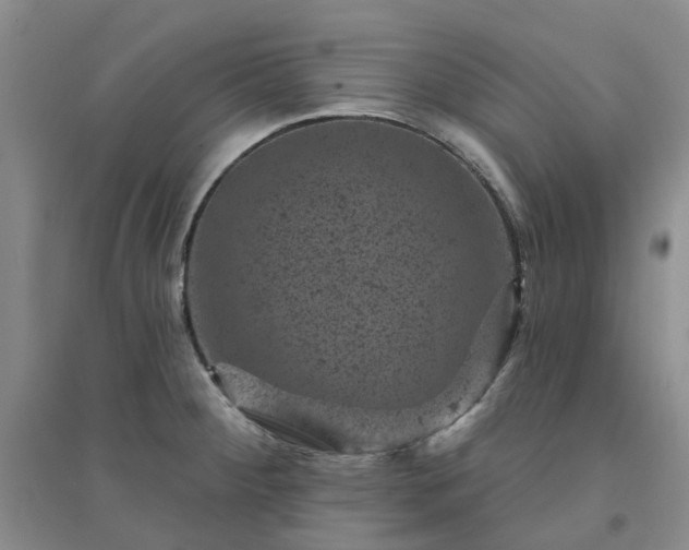 X0000094441284200711151356