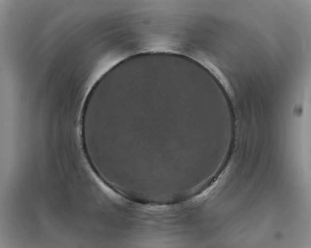 X0000094441285200711151356