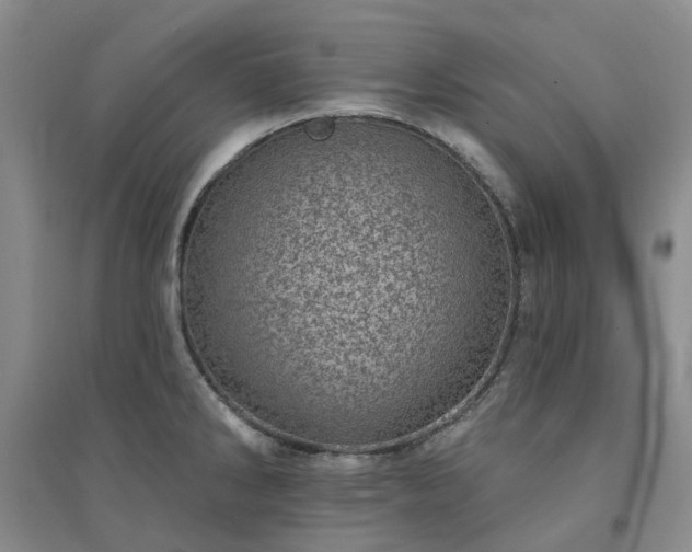 X0000094441286200711151356