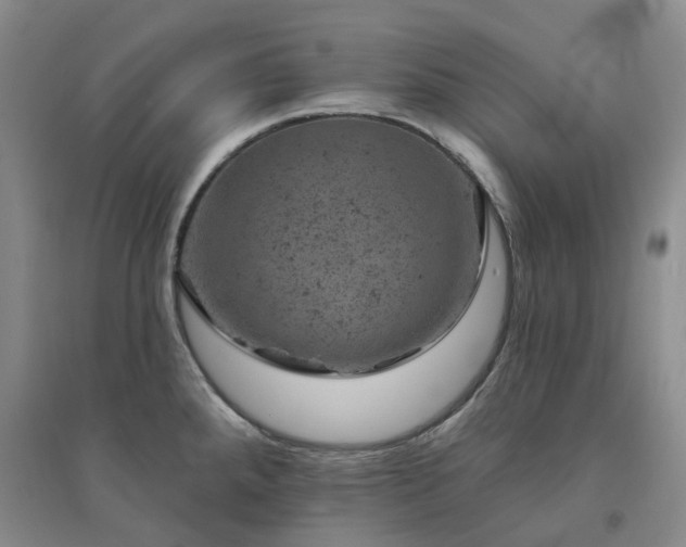 X0000094441288200711151356