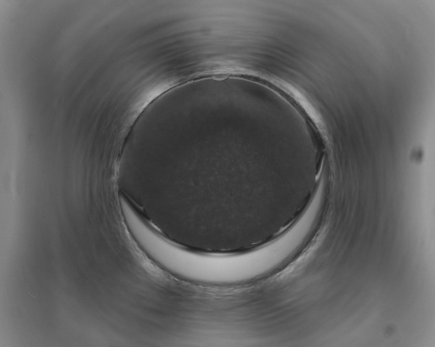 X0000094441289200711151356