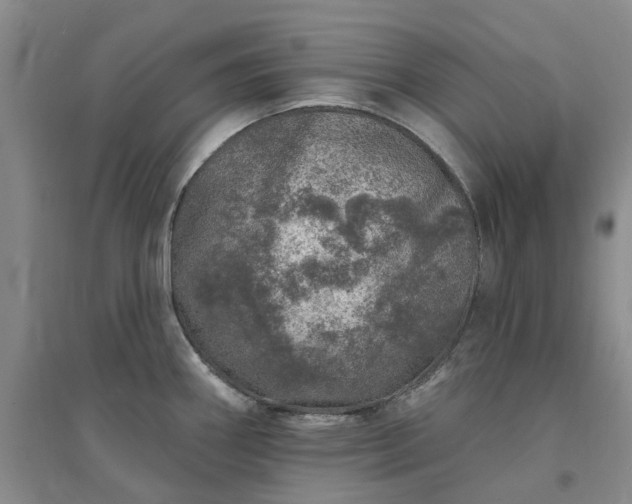 X0000094441290200711151356