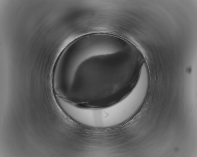 X0000094441291200711151356