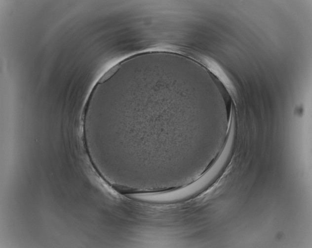 X0000094441292200711151356