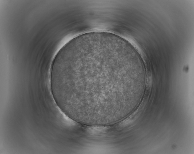 X0000094441294200711151356