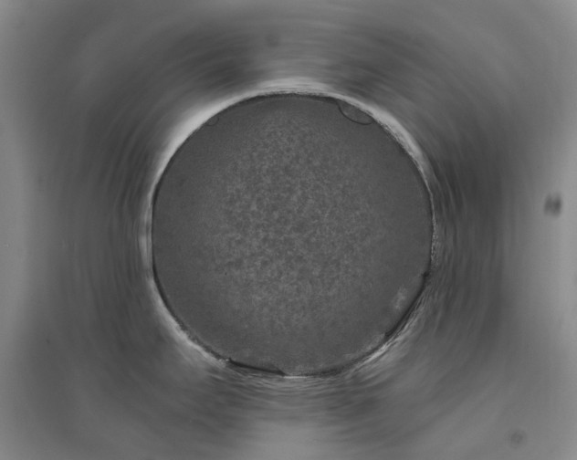 X0000094441295200711151356