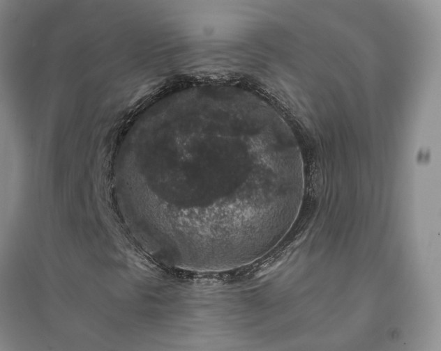 X0000094441297200711151355