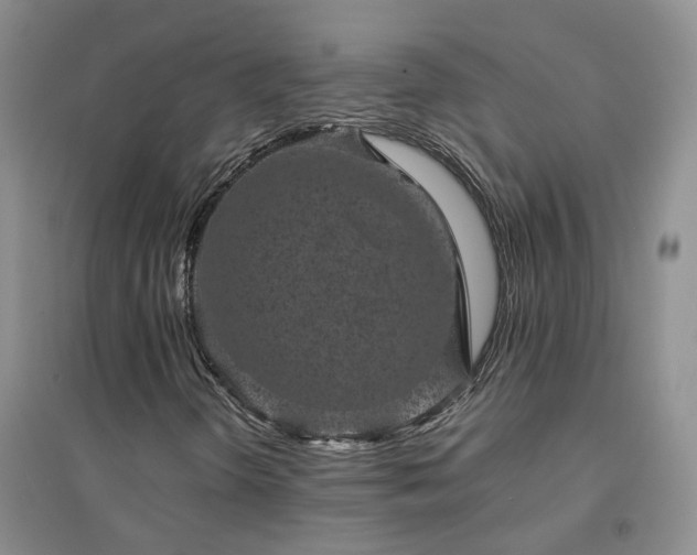 X0000094441298200711151355