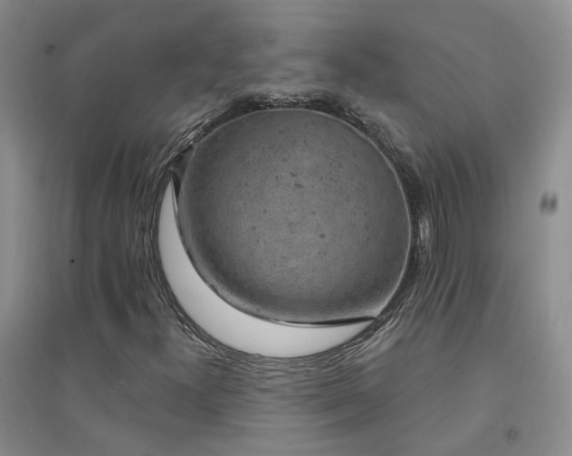 X0000094441300200711151355