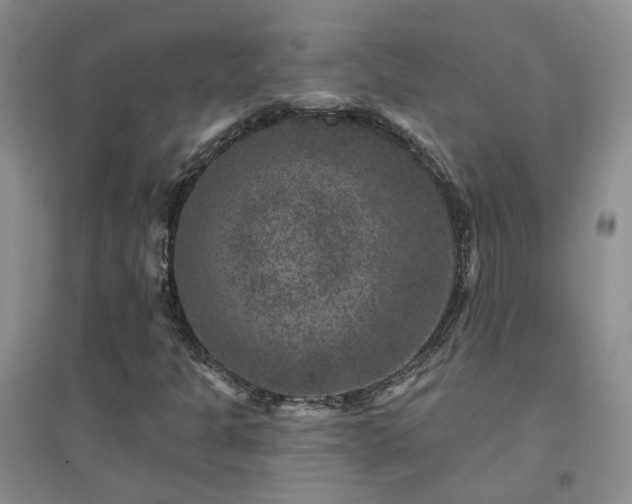 X0000094441301200711151355