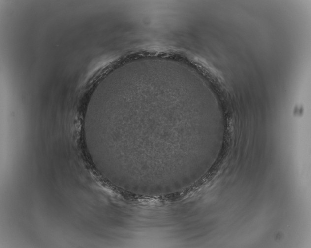 X0000094441302200711151355