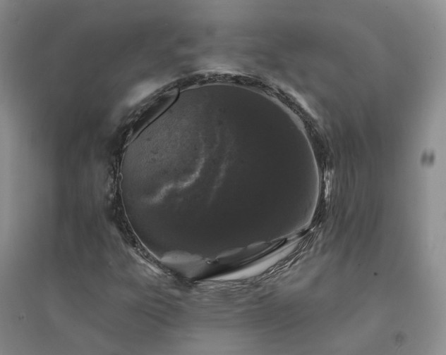 X0000094441303200711151355