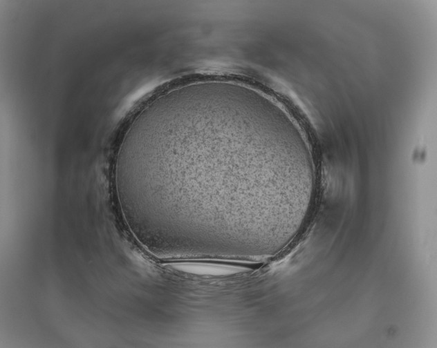 X0000094441304200711151355