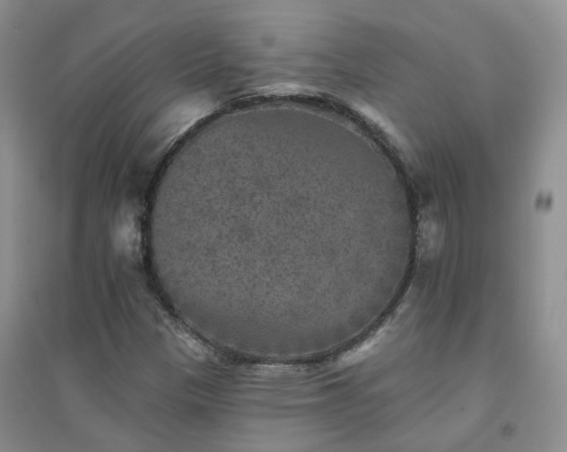 X0000094441305200711151355