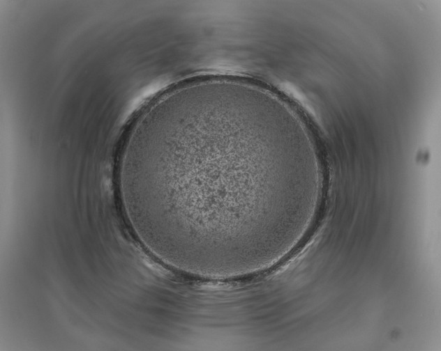 X0000094441307200711151355